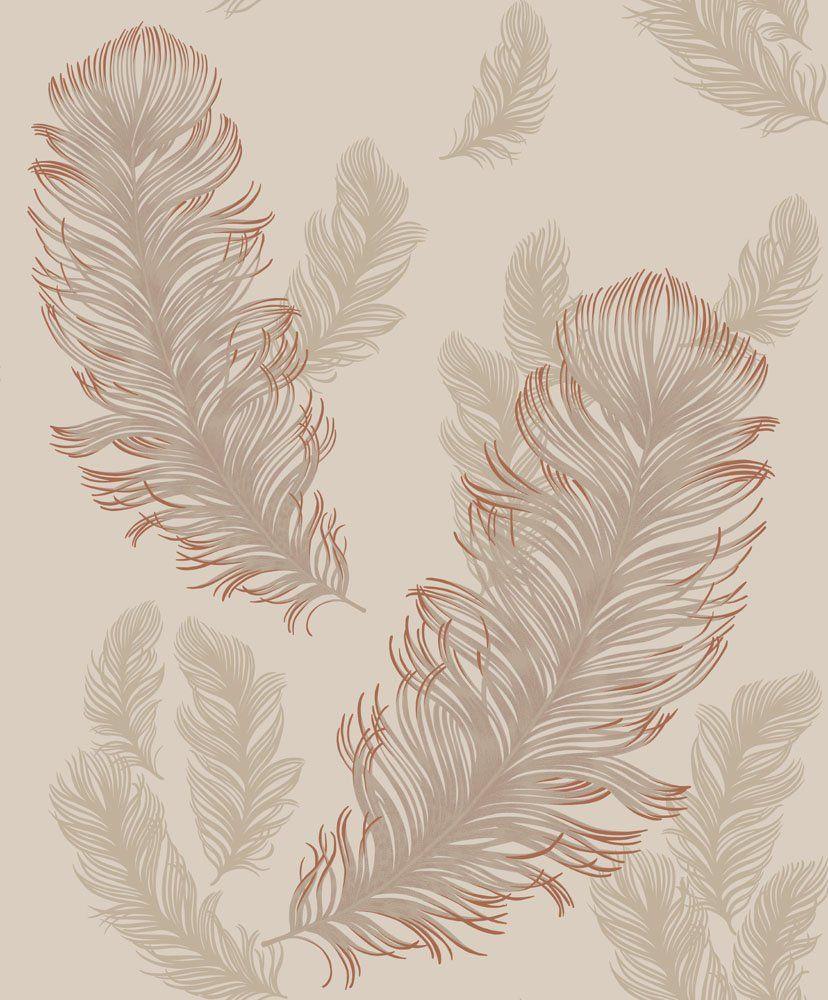Gold Feather Wallpapers Top Free Gold Feather Backgrounds