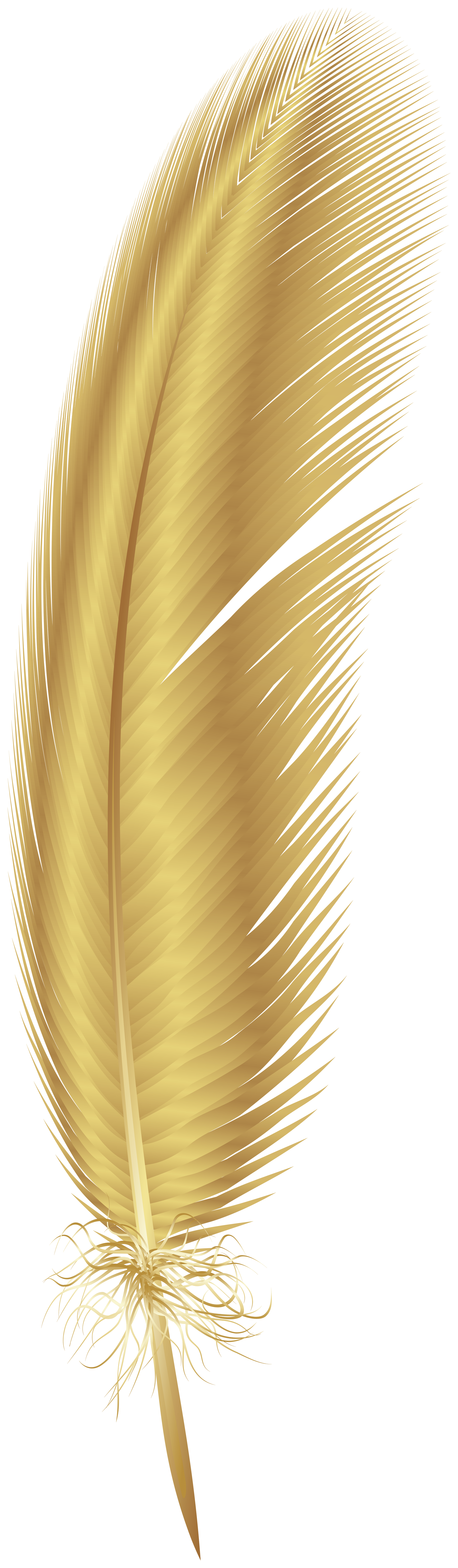 Gold Feather Wallpapers Top Free Gold Feather Backgrounds