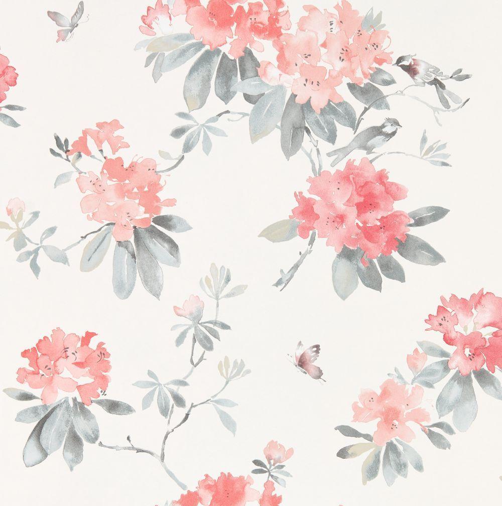 Coral Floral iPhone Wallpapers Top Free Coral Floral iPhone