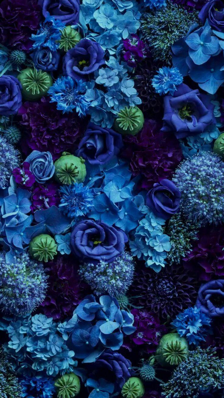 Blue Flowers Aesthetic Wallpapers Top Free Blue Flowers Aesthetic
