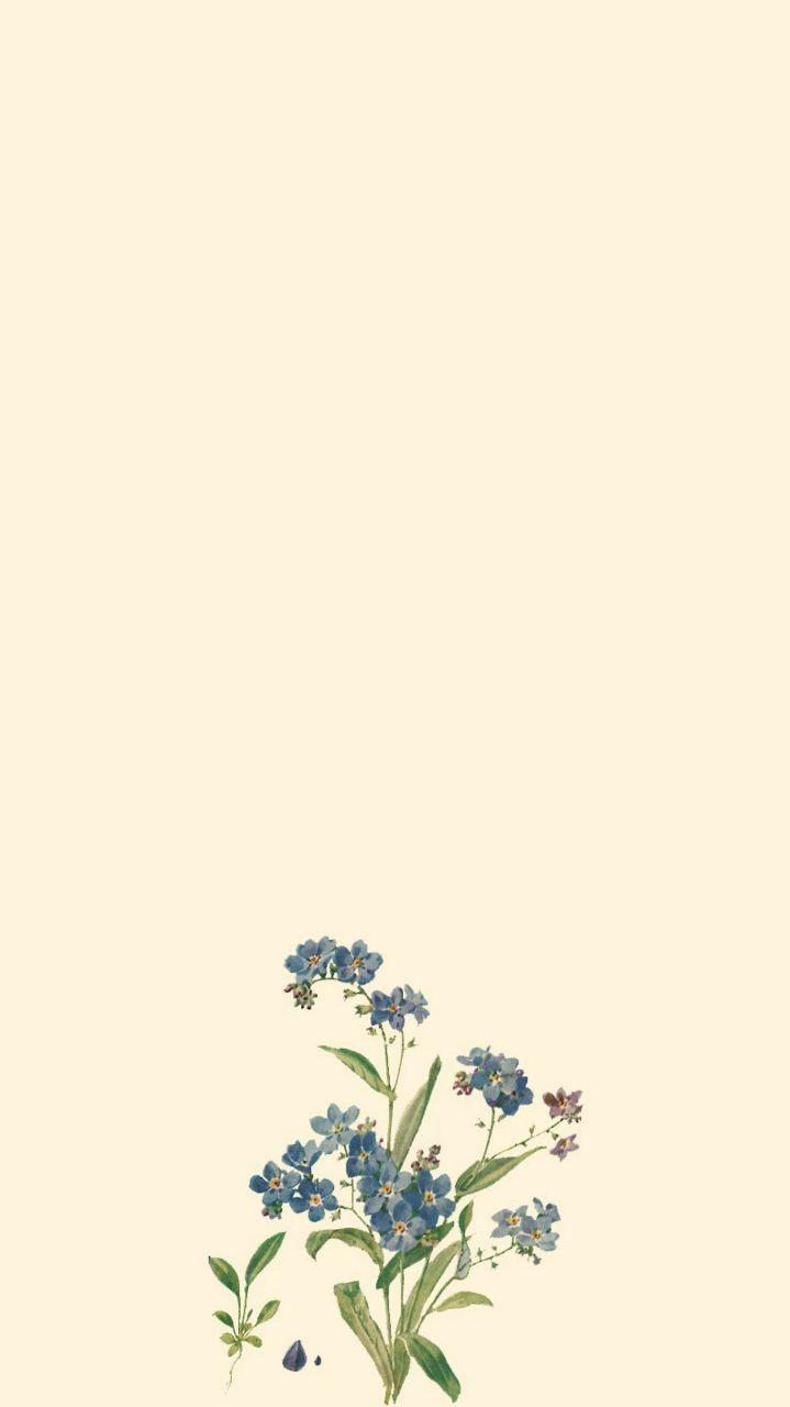 Blue Flowers Aesthetic Wallpapers Top Free Blue Flowers Aesthetic