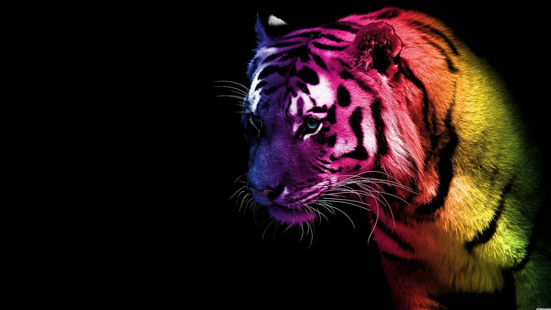 Space Tiger Wallpapers Top Free Space Tiger Backgrounds WallpaperAccess