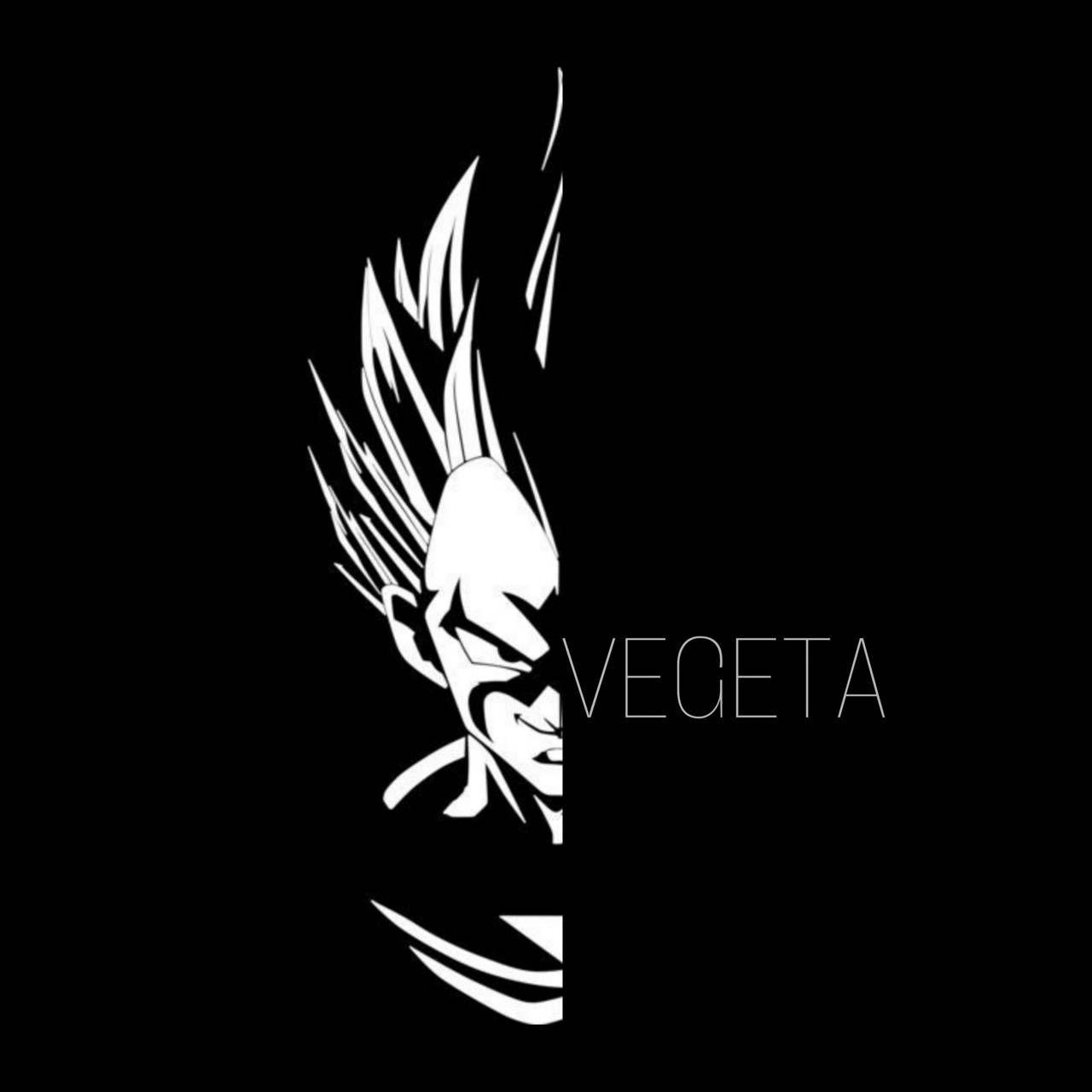 Black and White Dragon Ball Z Wallpapers Top Free Black and White Dragon Ball Z Backgrounds