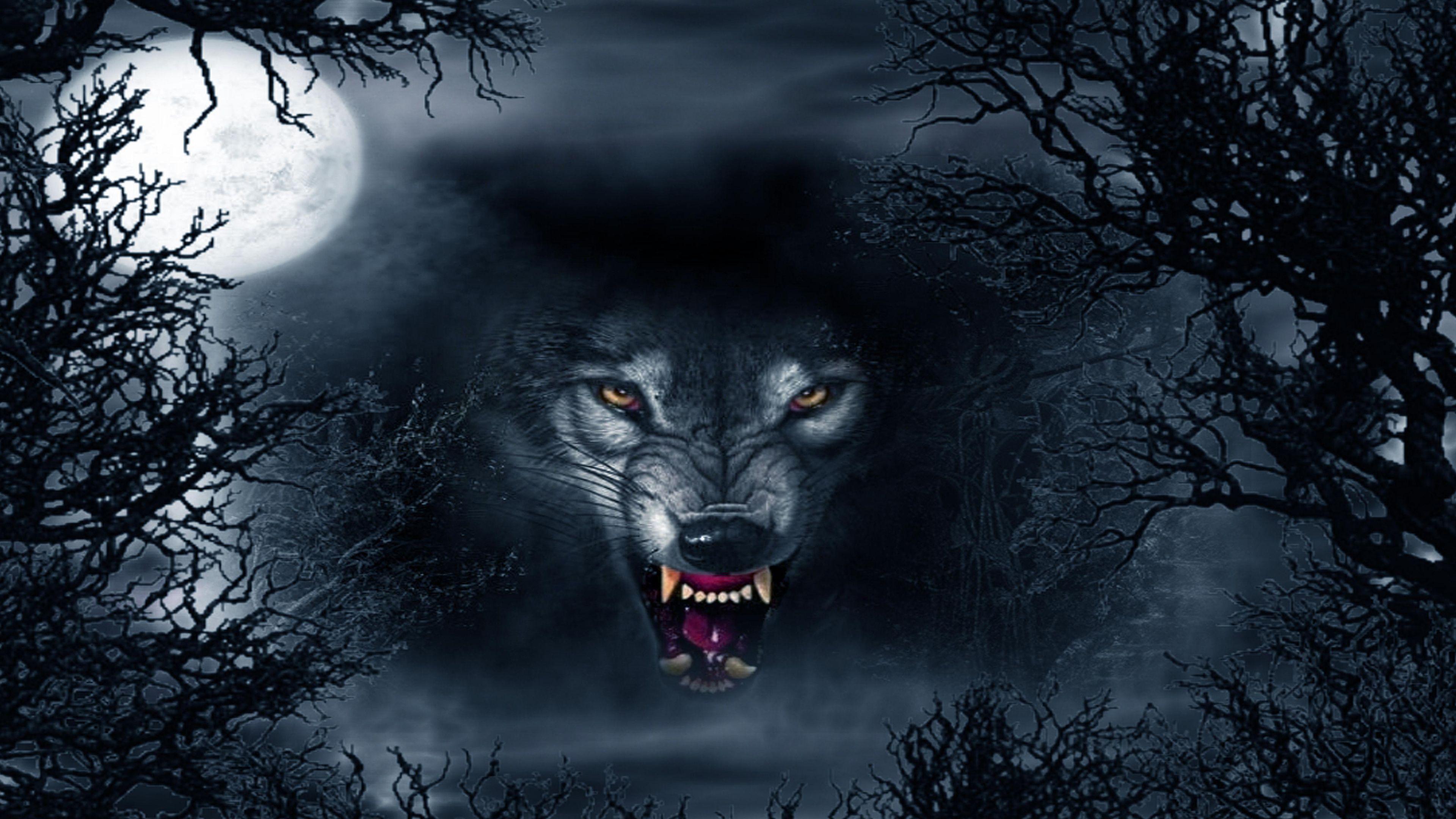 Evil Wolf Eyes Wallpapers Top Free Evil Wolf Eyes Backgrounds