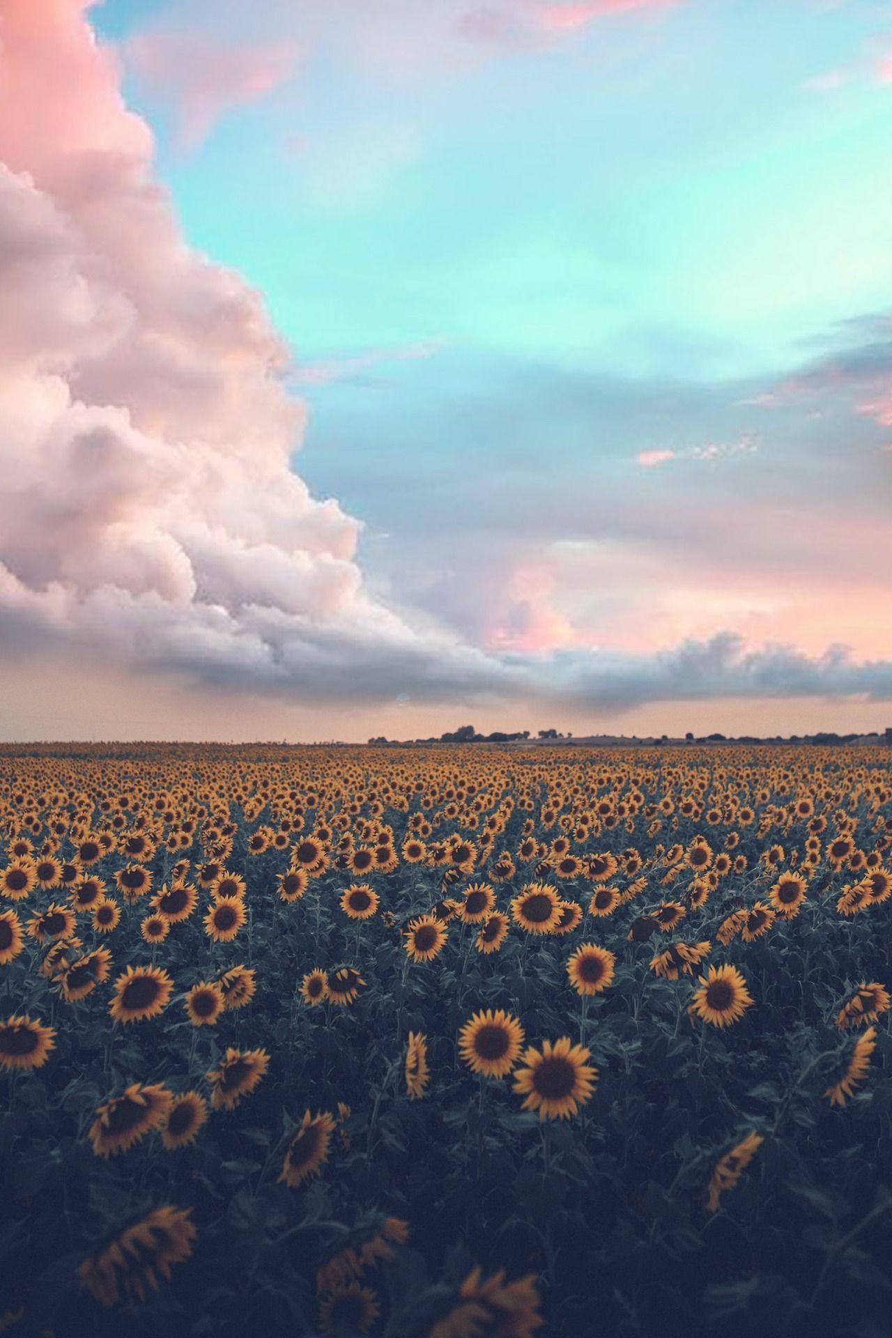 Relaxing Aesthetic Wallpapers Top Free Relaxing Aesthetic Backgrounds