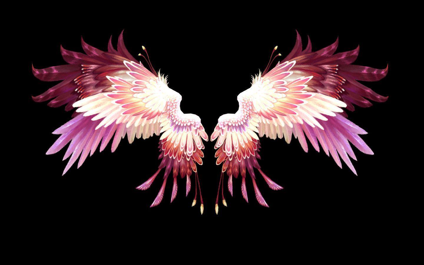 Pink Wings Wallpapers Top Free Pink Wings Backgrounds WallpaperAccess