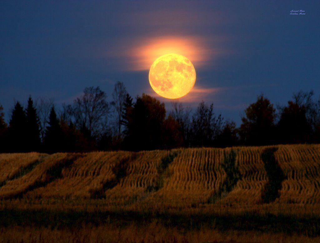 Autumn Moon Wallpapers - Top Free Autumn Moon Backgrounds - WallpaperAccess