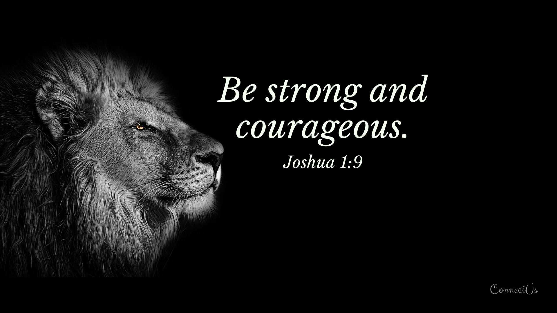 Lion Motivation Bible Wallpapers Top Free Lion Motivation Bible