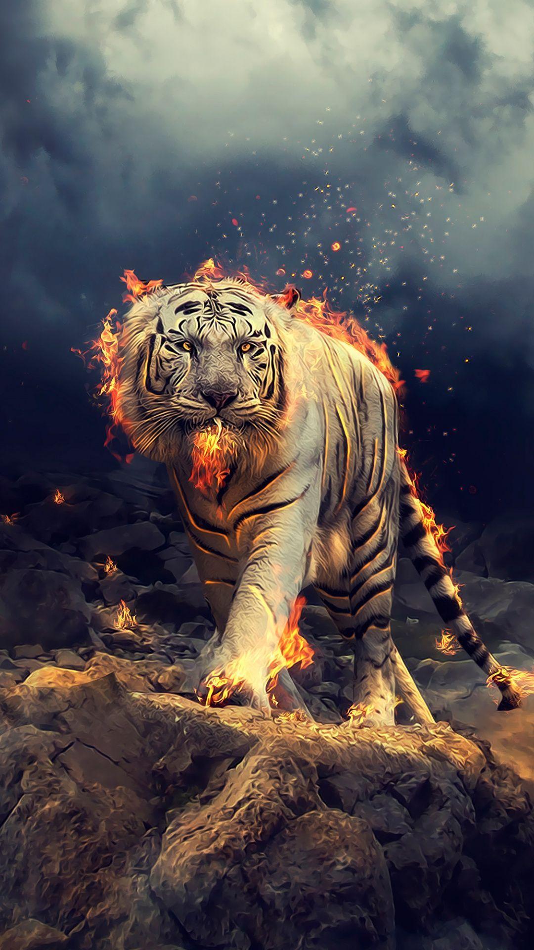 512+ White Tiger Wallpaper Hd Zedge Picture My