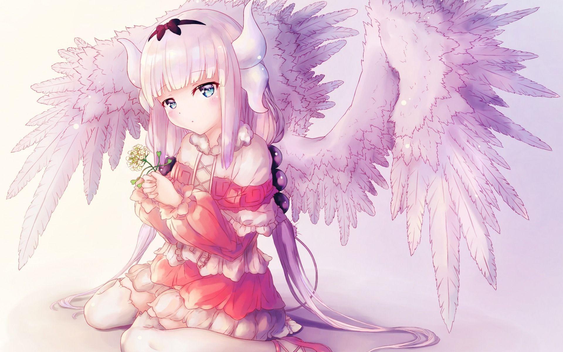 Kanna Wallpapers Top Free Kanna Backgrounds WallpaperAccess