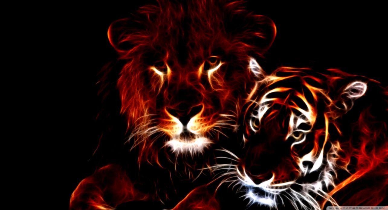 Lion and Tiger Wallpapers Top Free Lion and Tiger Backgrounds