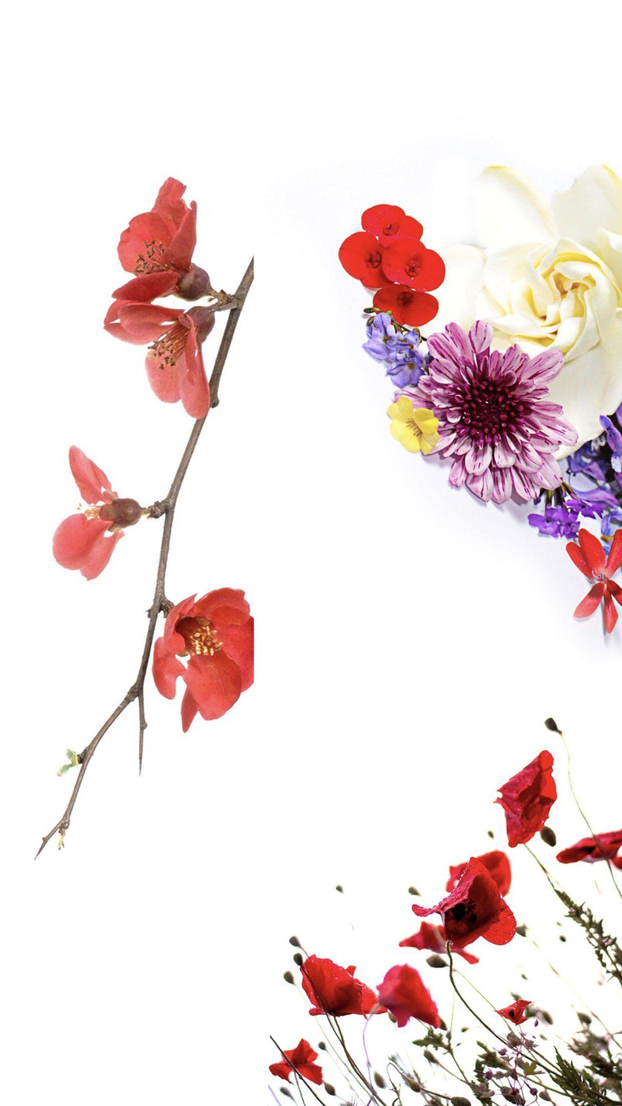 Simple Floral Phone Wallpapers Top Free Simple Floral Phone