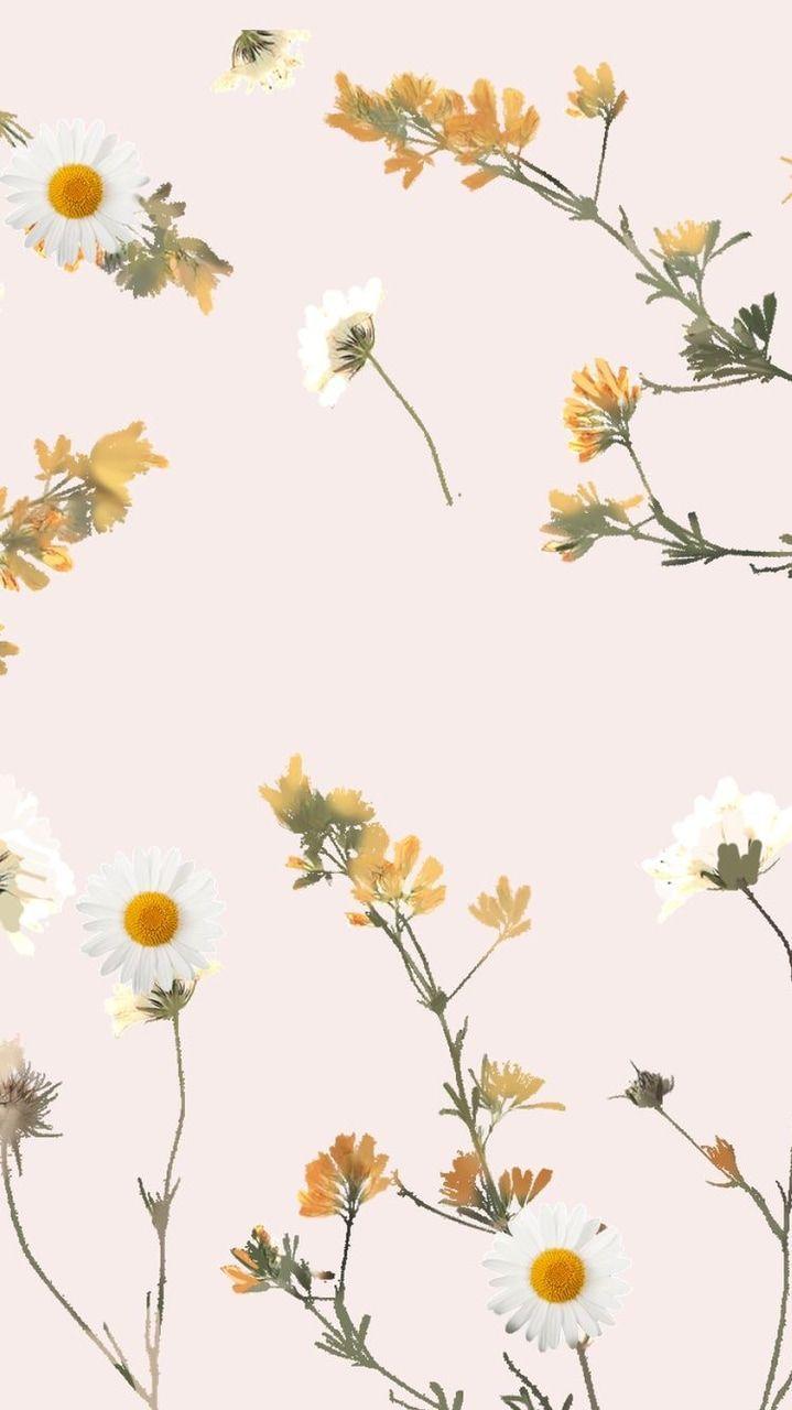 Simple Floral Phone Wallpapers Top Free Simple Floral Phone