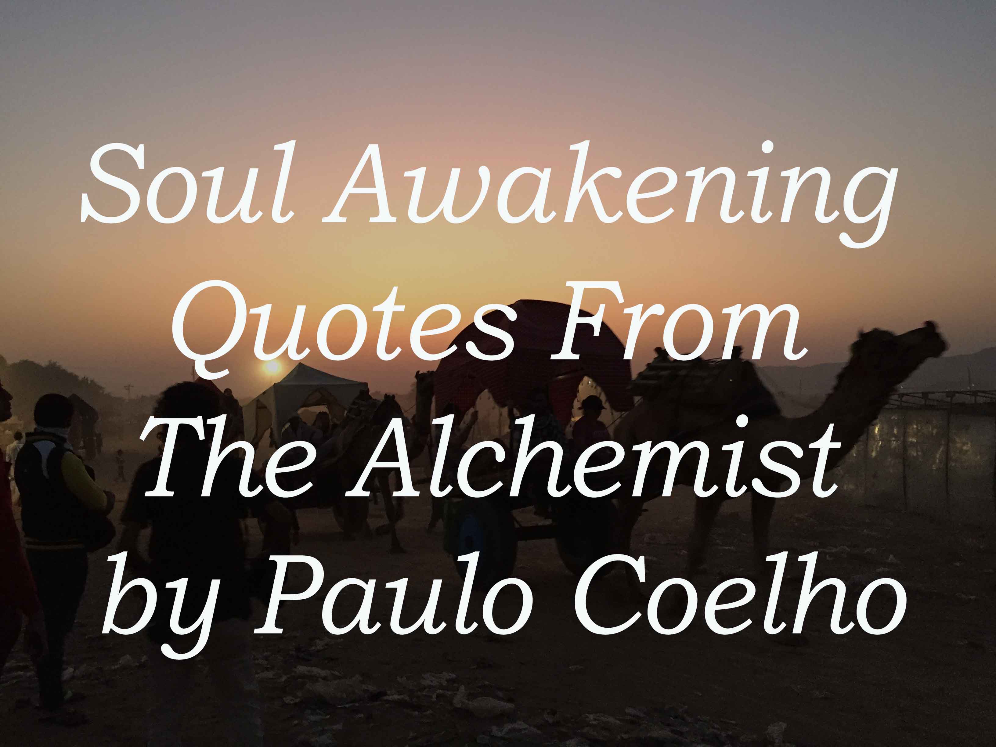 The Alchemist Quotes Wallpapers Top Free The Alchemist Quotes