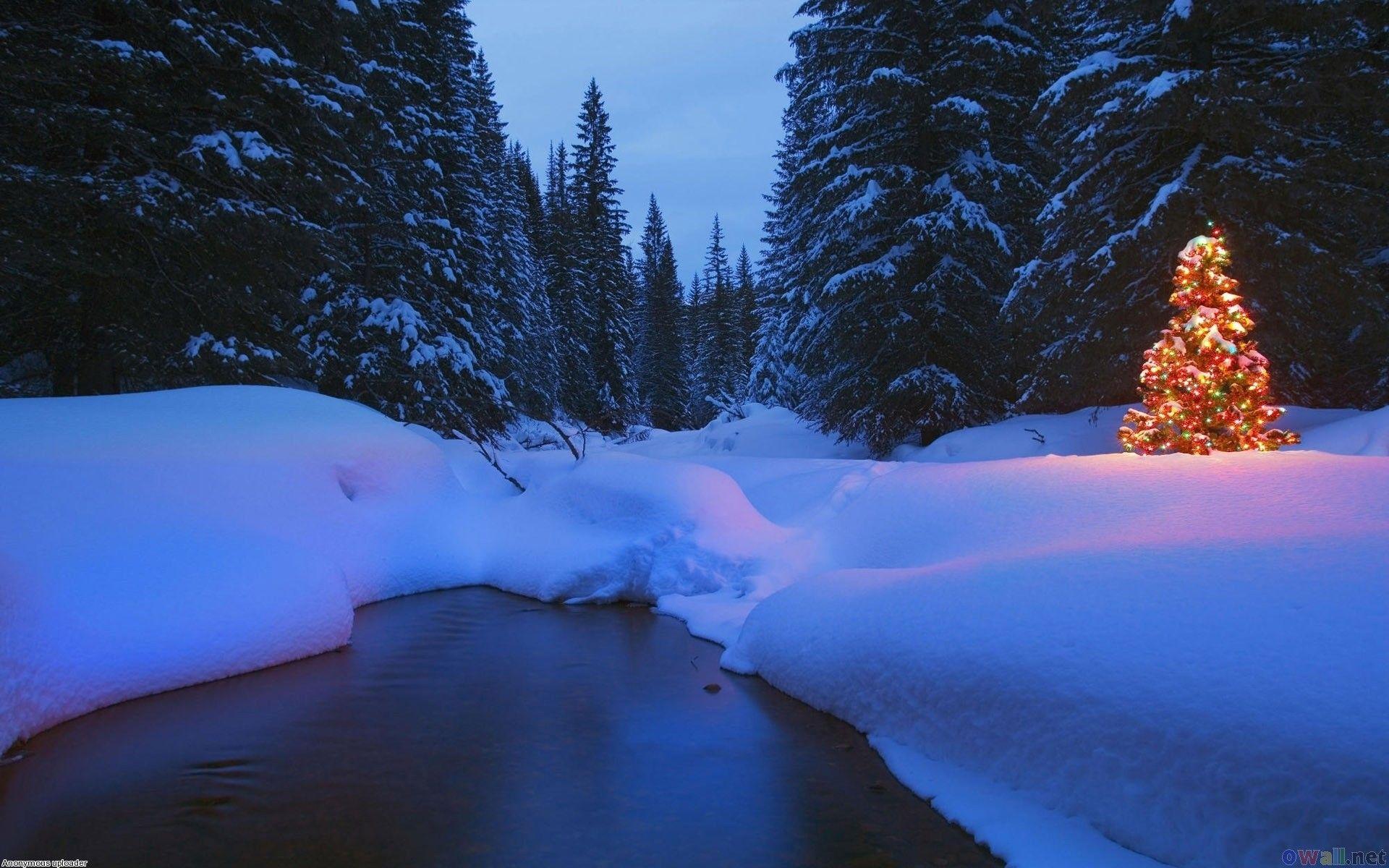 Forest Christmas Wallpapers Top Free Forest Christmas Backgrounds WallpaperAccess