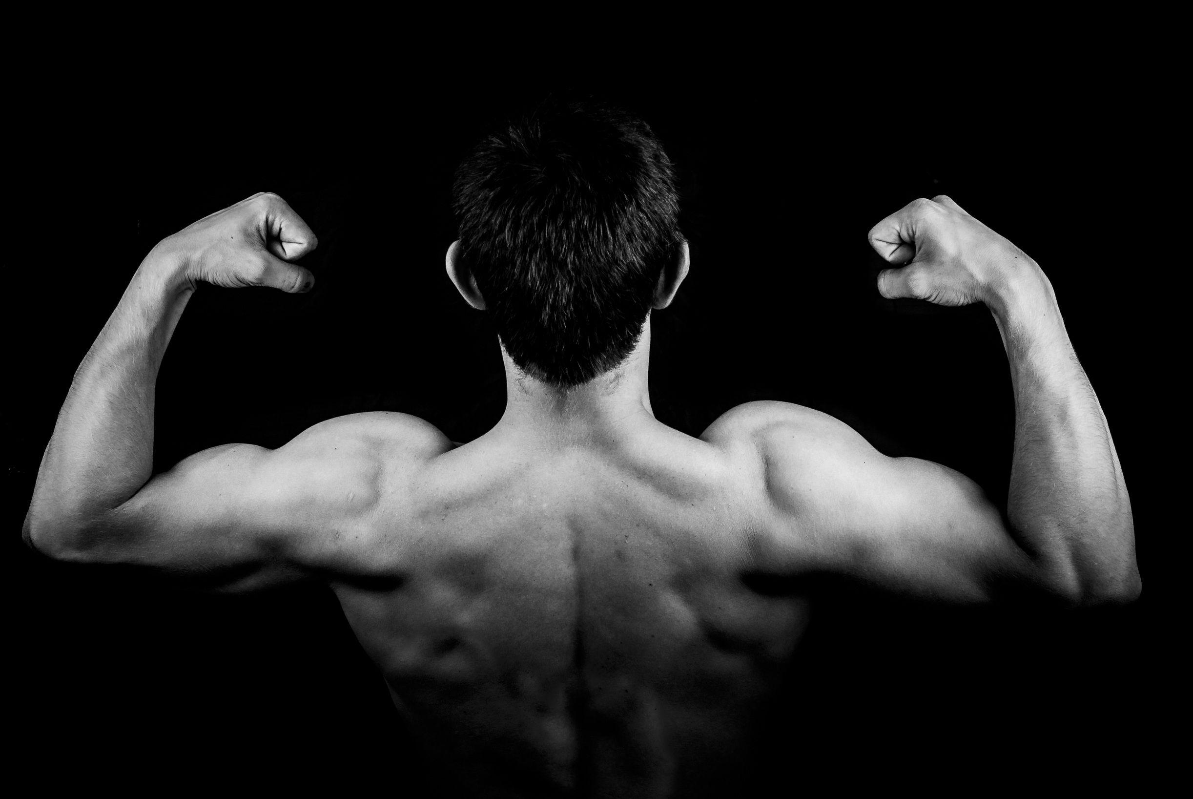 Back Muscle Wallpapers Top Free Back Muscle Backgrounds WallpaperAccess