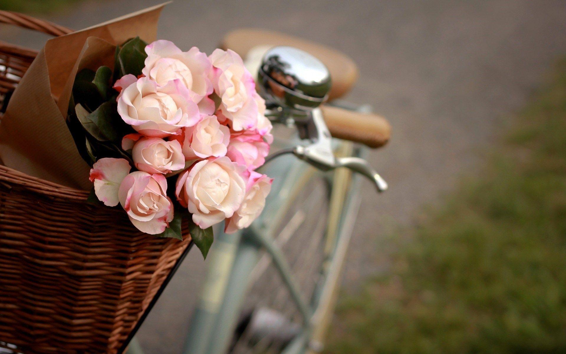Bicycle Flowers Wallpapers Top Free Bicycle Flowers Backgrounds