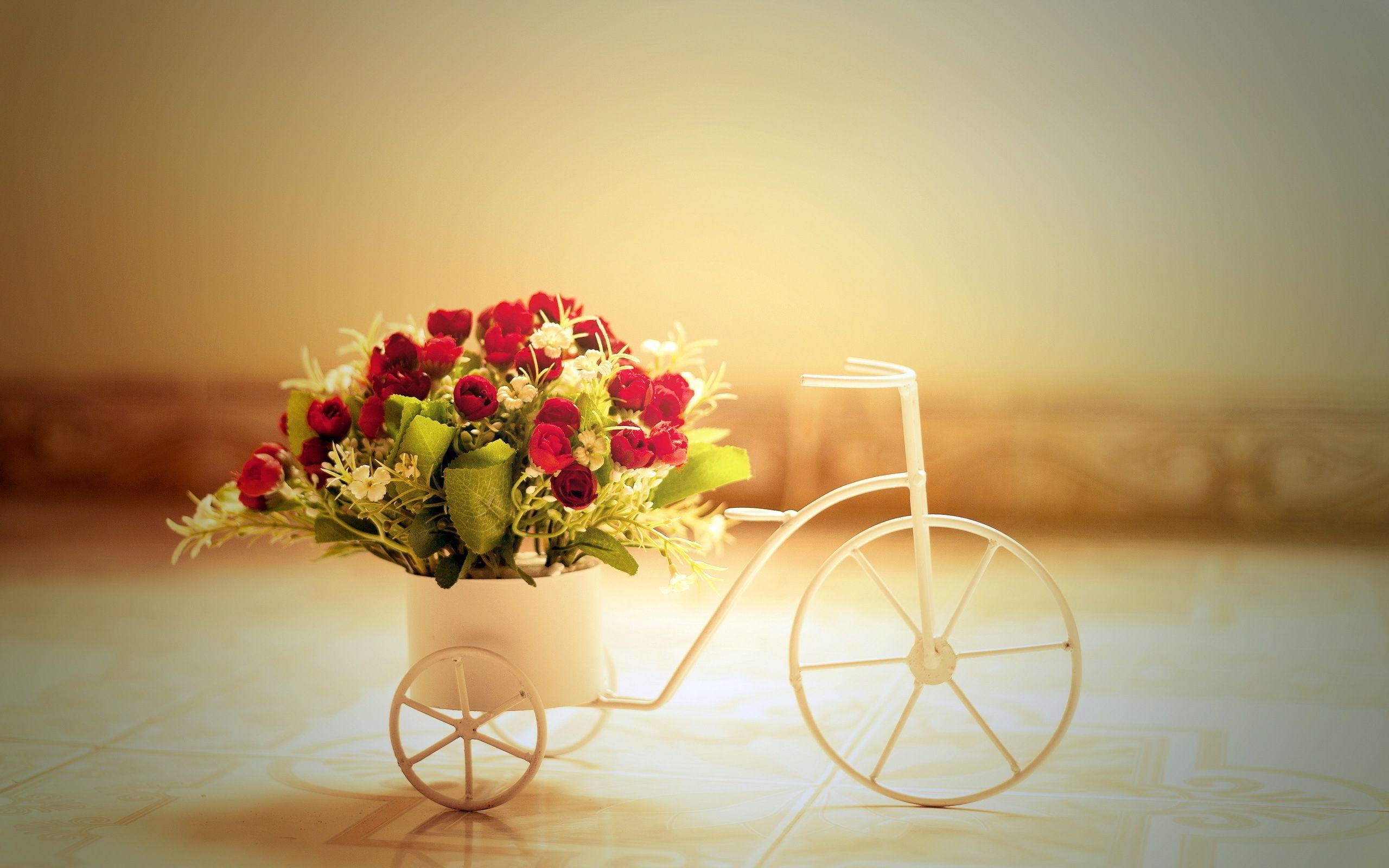 Bicycle Flowers Wallpapers Top Free Bicycle Flowers Backgrounds