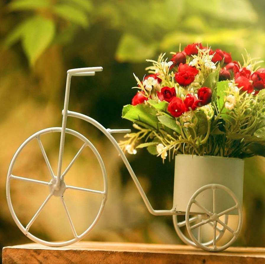 Bicycle Flowers Wallpapers Top Free Bicycle Flowers Backgrounds