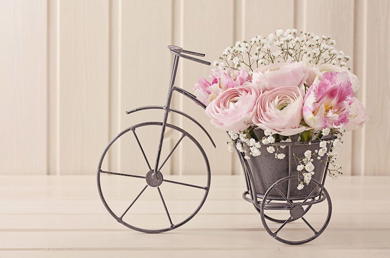 Bicycle Flowers Wallpapers Top Free Bicycle Flowers Backgrounds