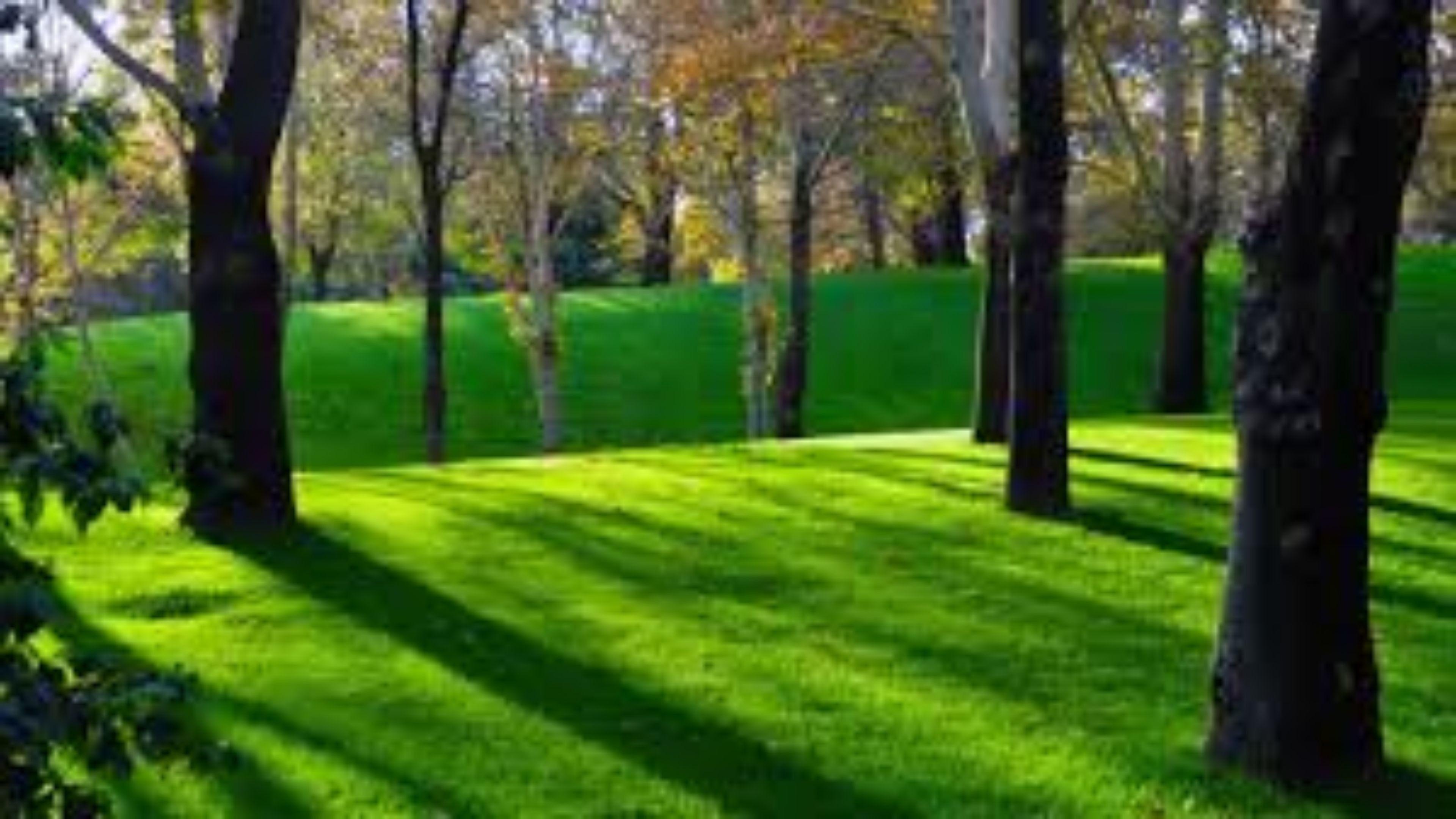 Real Nature Wallpapers Top Free Real Nature Backgrounds WallpaperAccess