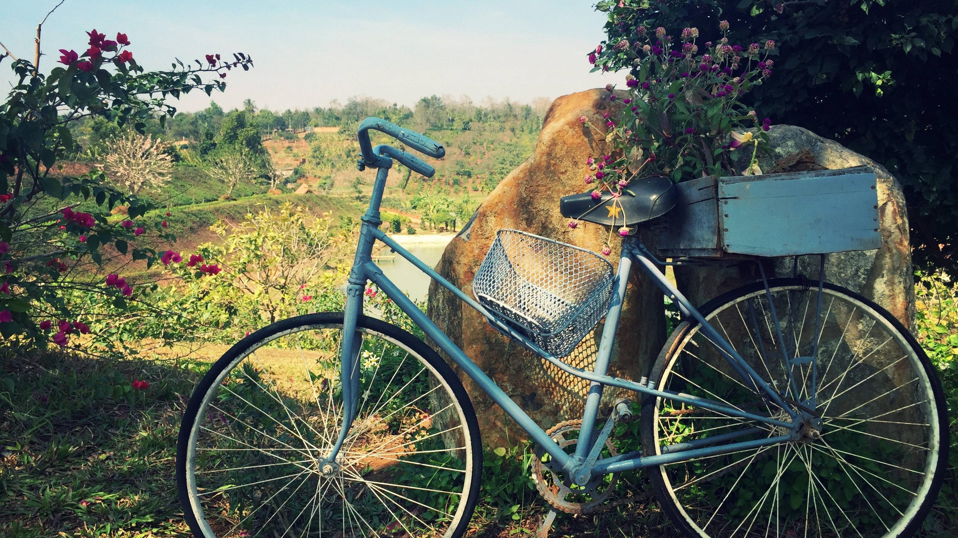 Bicycle Flowers Wallpapers Top Free Bicycle Flowers Backgrounds