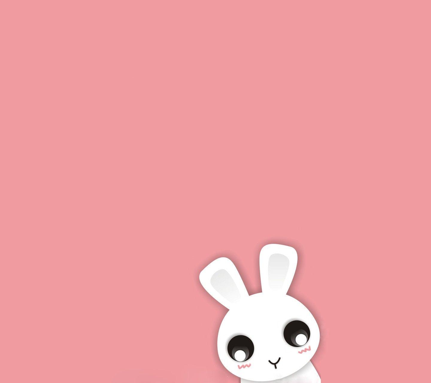 Cute Bunny Anime Wallpapers Top Free Cute Bunny Anime Backgrounds