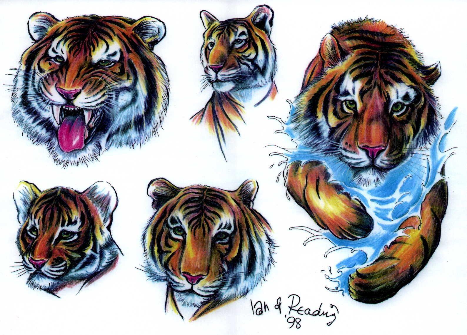 Art Tiger Tattoo Wallpapers Top Free Art Tiger Tattoo Backgrounds