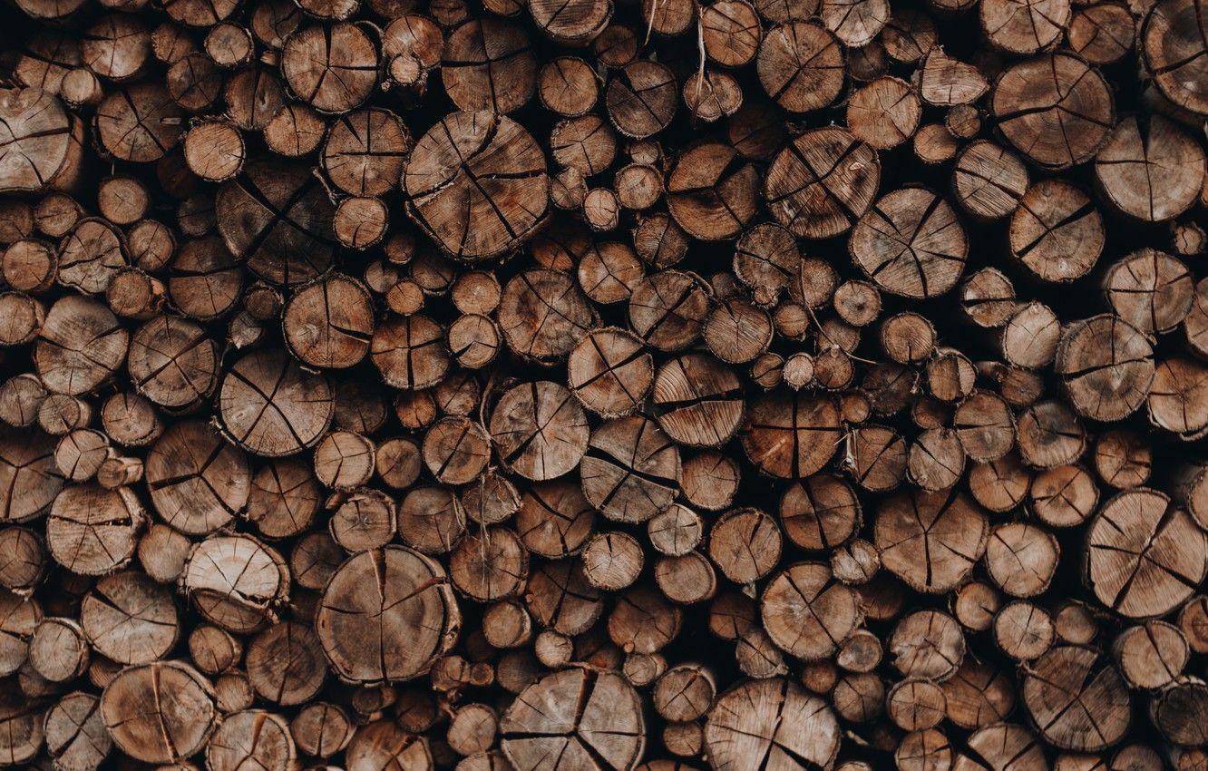 Timber Wallpapers Top Free Timber Backgrounds WallpaperAccess