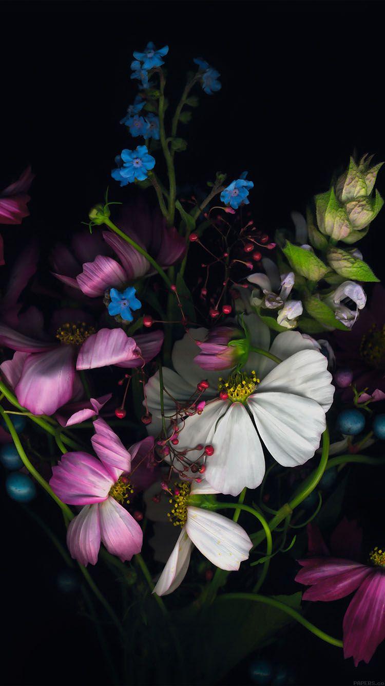 iPhone 6 Flower Wallpapers Top Free iPhone 6 Flower Backgrounds WallpaperAccess