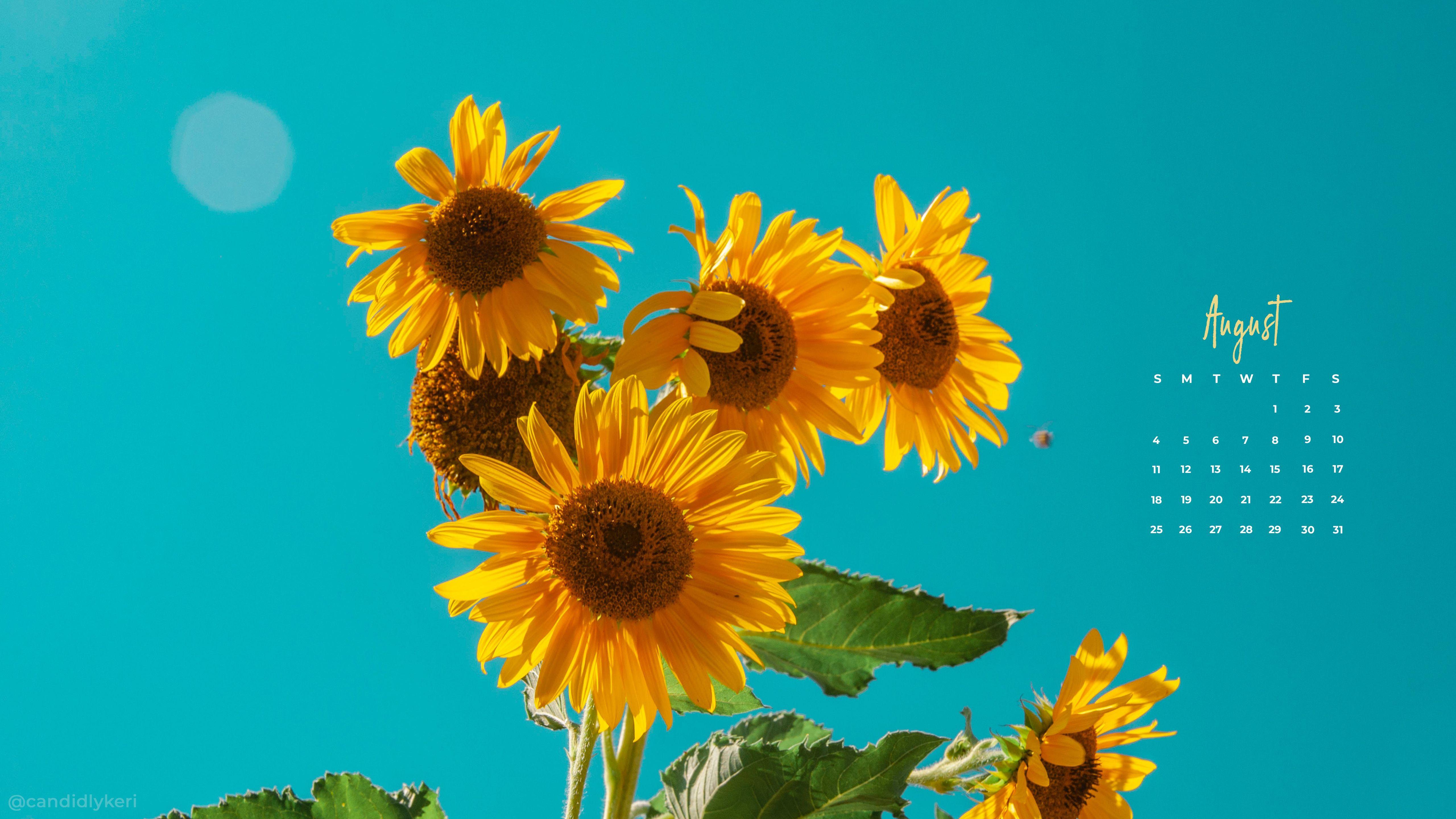 Yellow Aesthetic Flower Desktop Wallpapers Top Free Yellow Aesthetic