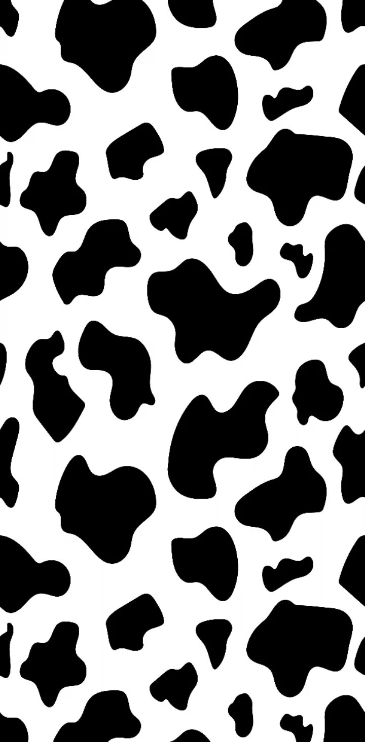 Black and White Cow Wallpapers Top Free Black and White Cow