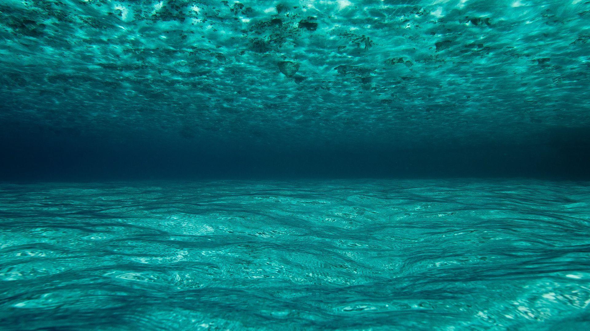 1920X1080 Underwater Wallpapers Top Free 1920X1080 Underwater
