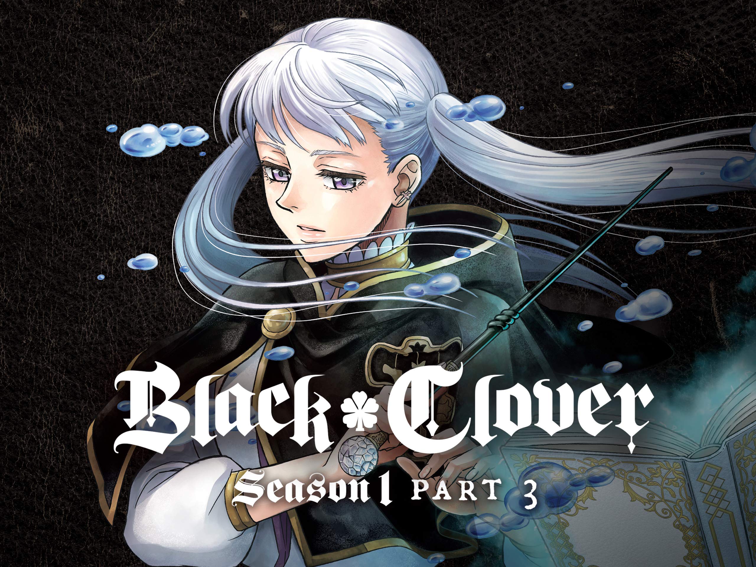 Black Clover Noelle Silva Wallpapers Top Free Black Clover Noelle Silva Backgrounds