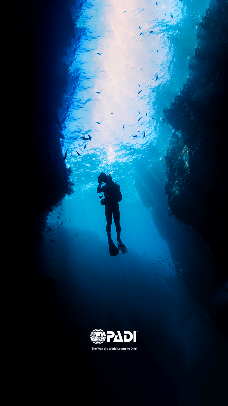 Scuba Diver iPhone HD Wallpapers Top Free Scuba Diver iPhone HD