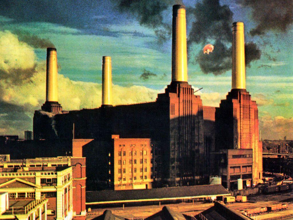 Pink Floyd Animals Wallpapers Top Free Pink Floyd Animals Backgrounds