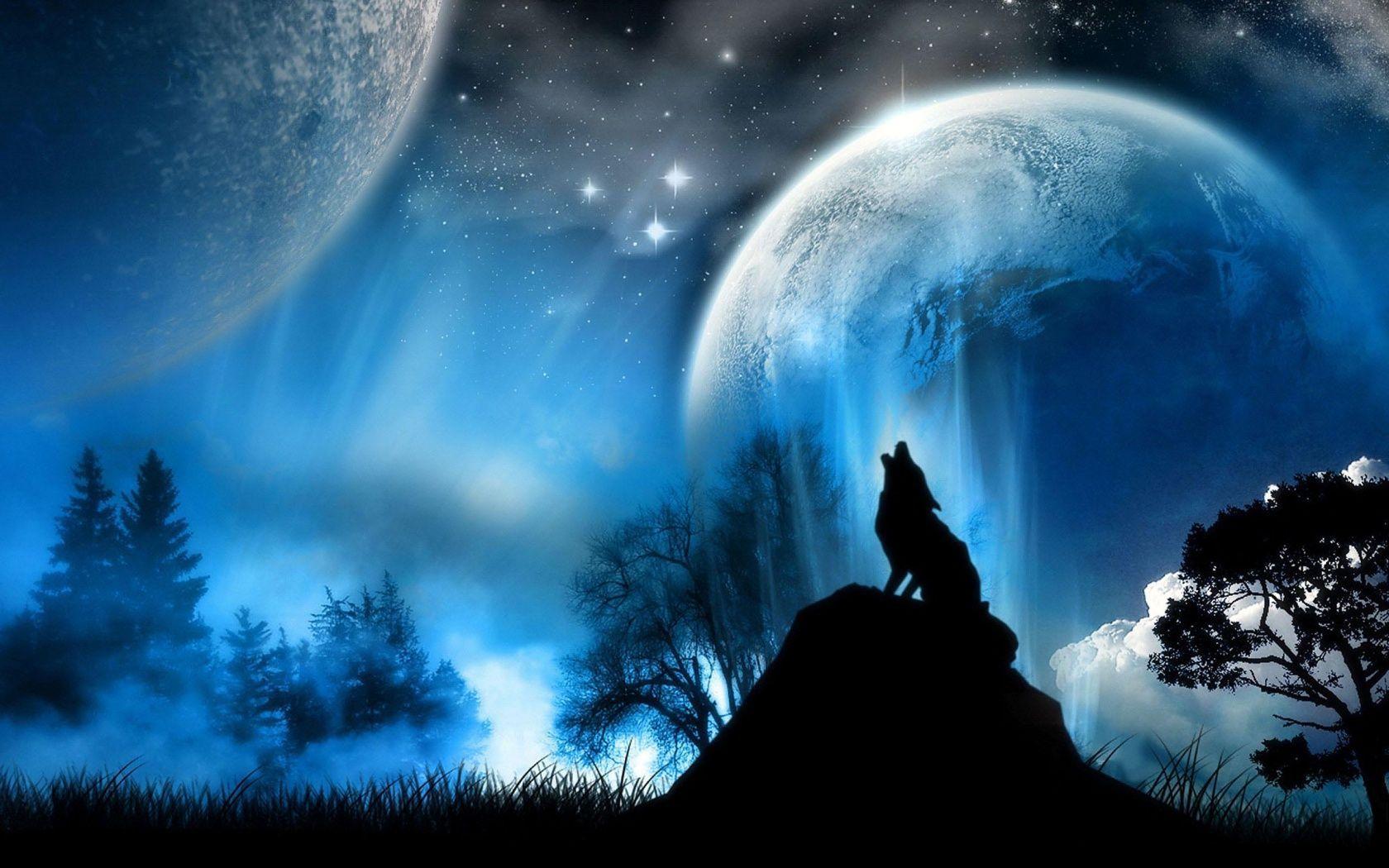 Neon Wolf Wallpapers Top Free Neon Wolf Backgrounds WallpaperAccess