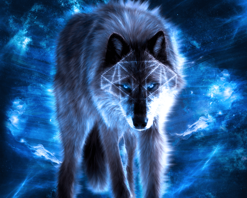 Neon Wolf Wallpapers Top Free Neon Wolf Backgrounds WallpaperAccess