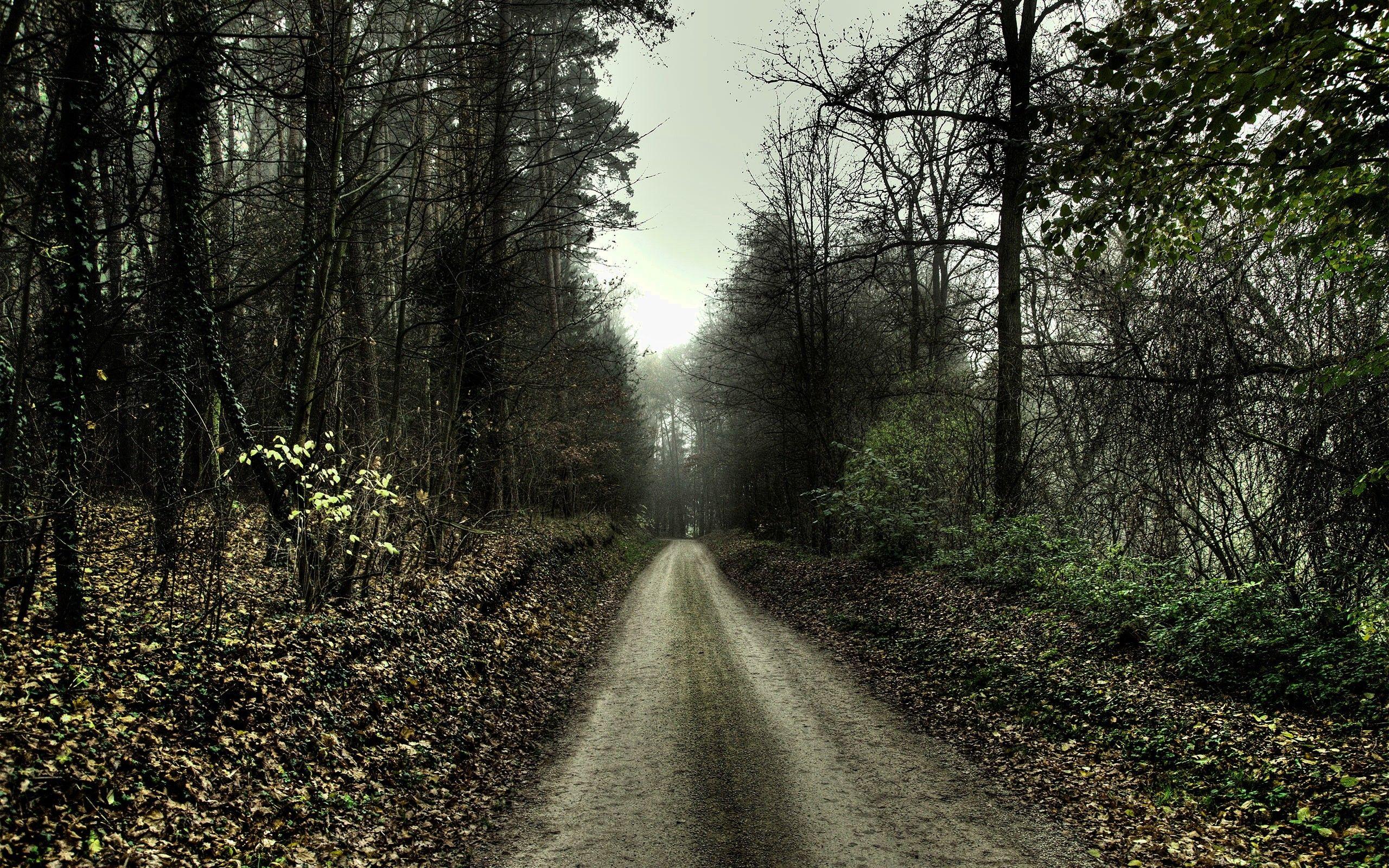 Lonely Road Wallpapers Top Free Lonely Road Backgrounds WallpaperAccess