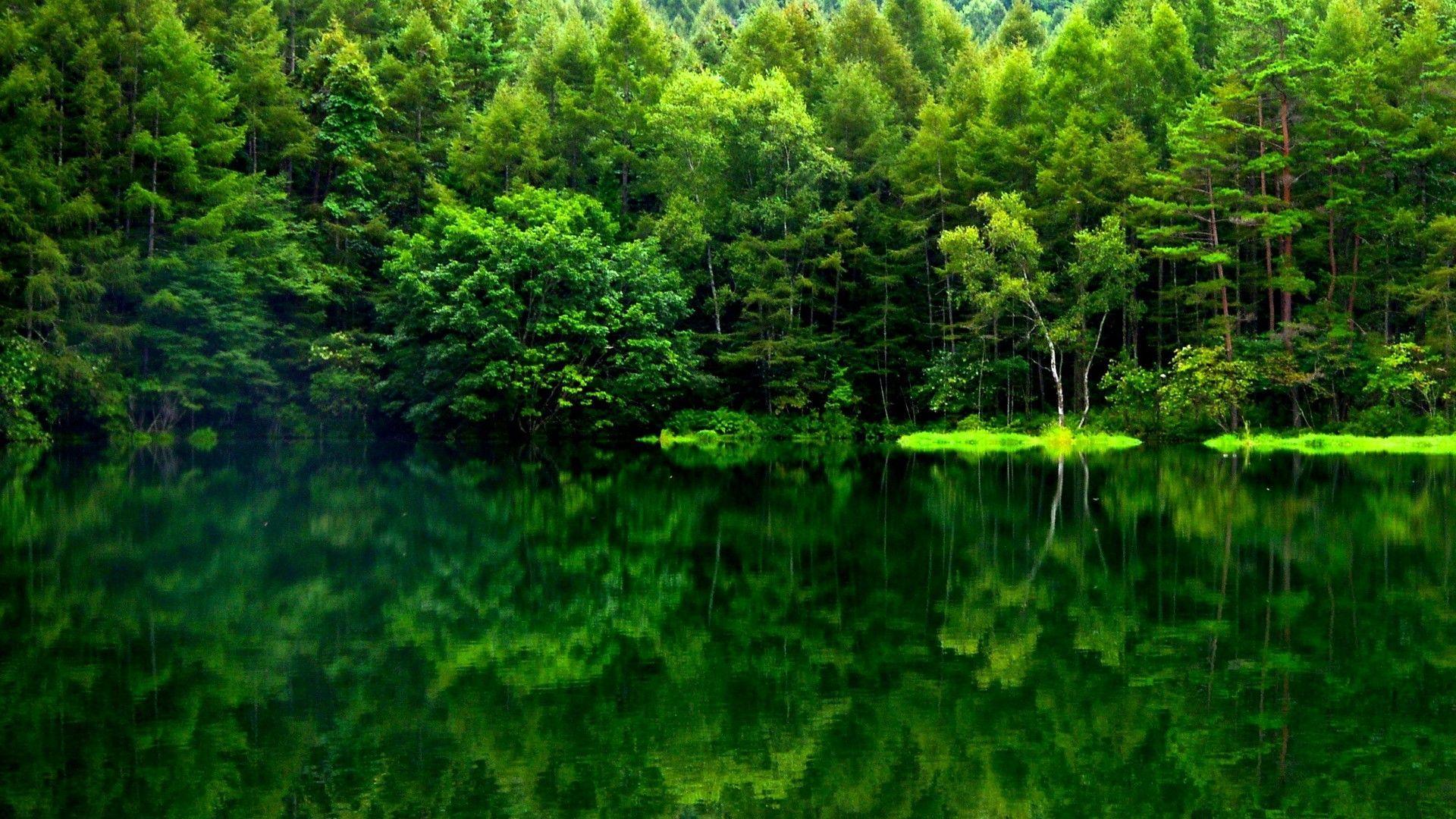 Green Japanese Wallpapers Top Free Green Japanese Backgrounds