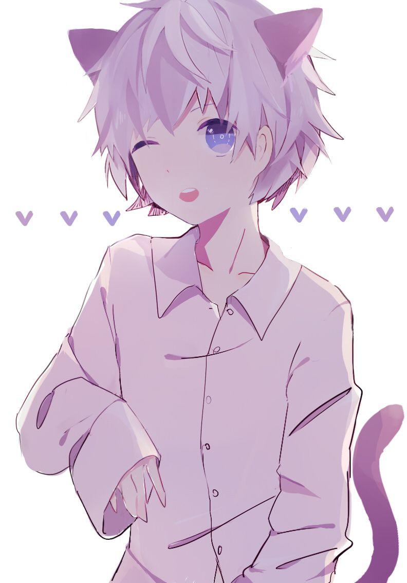 Cute Anime Neko Boy Wallpapers - Top Free Cute Anime Neko Boy Backgrounds - Wallpaperaccess