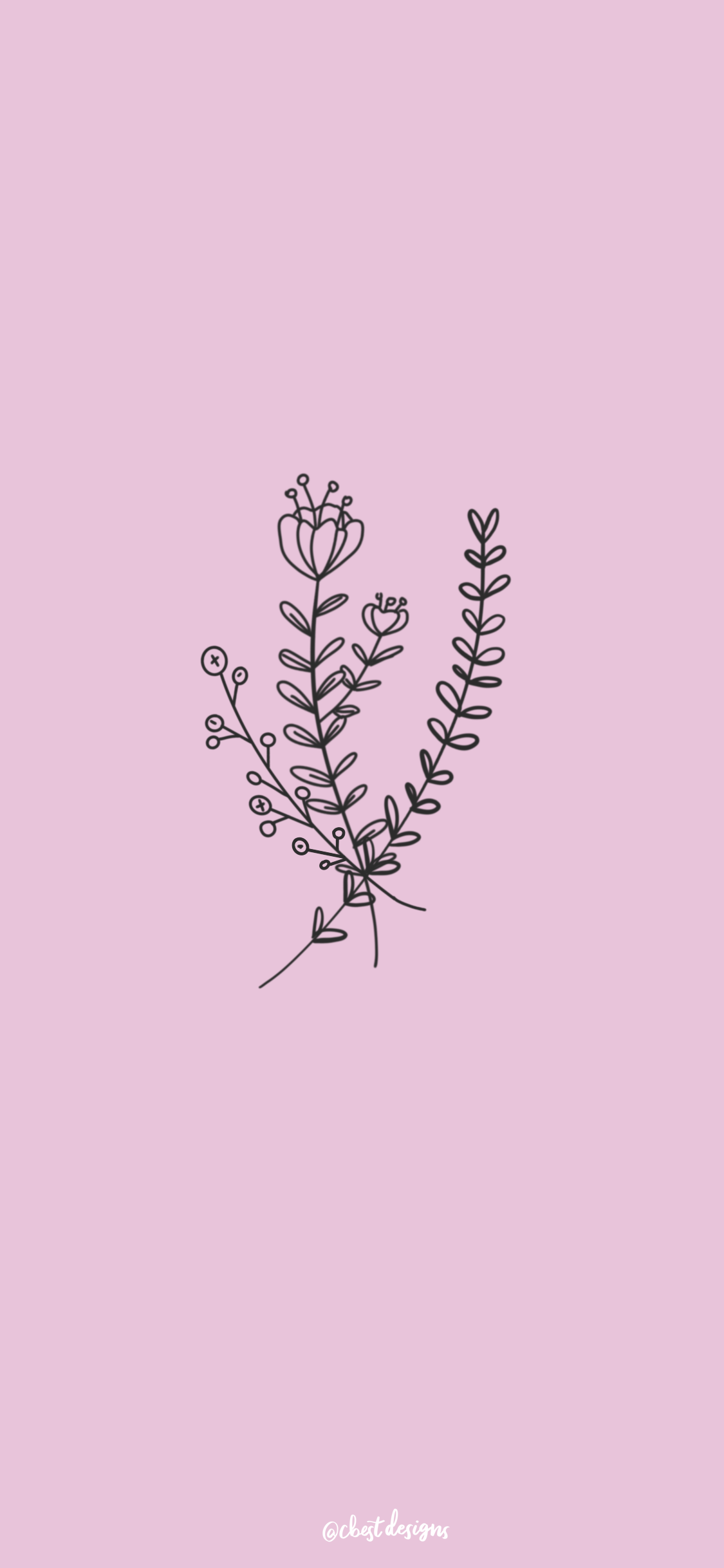 Simple Elegant Wallpapers Top Free Simple Elegant Backgrounds