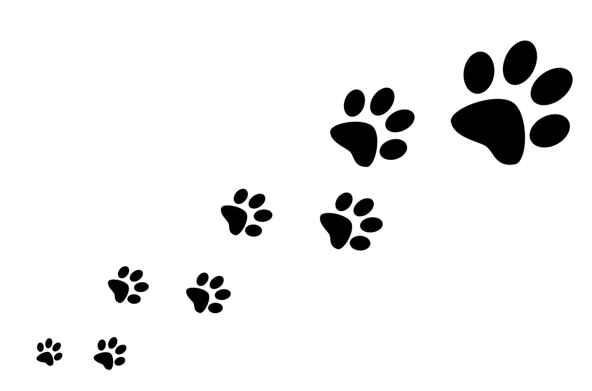 Paw Print Desktop Wallpapers Top Free Paw Print Desktop Backgrounds