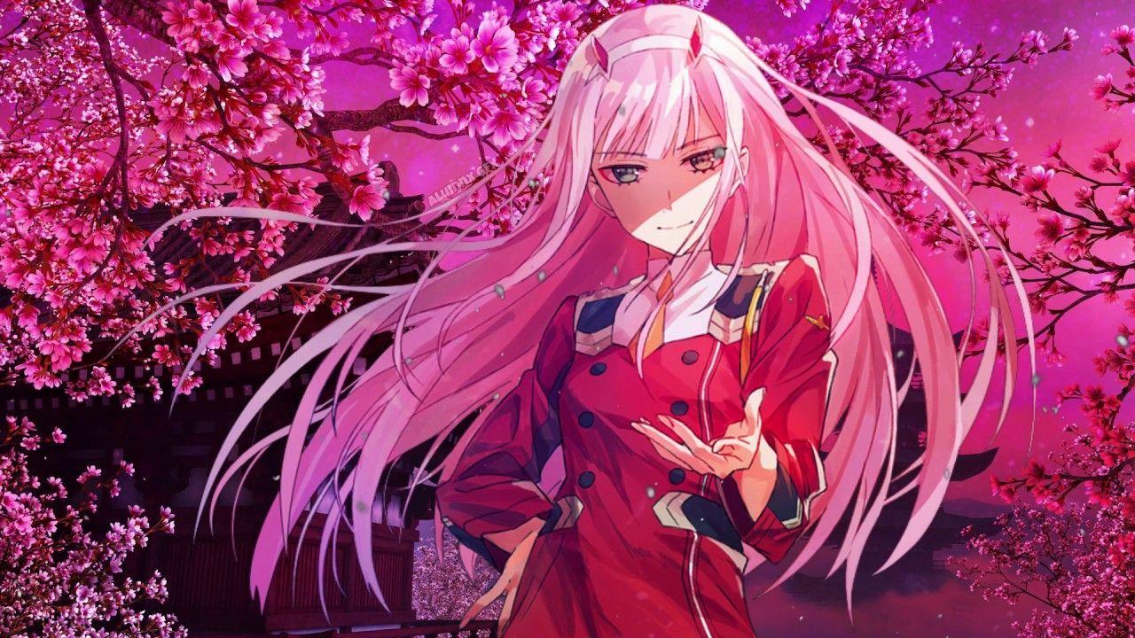 Zero Two Anime Wallpapers Top Free Zero Two Anime Backgrounds