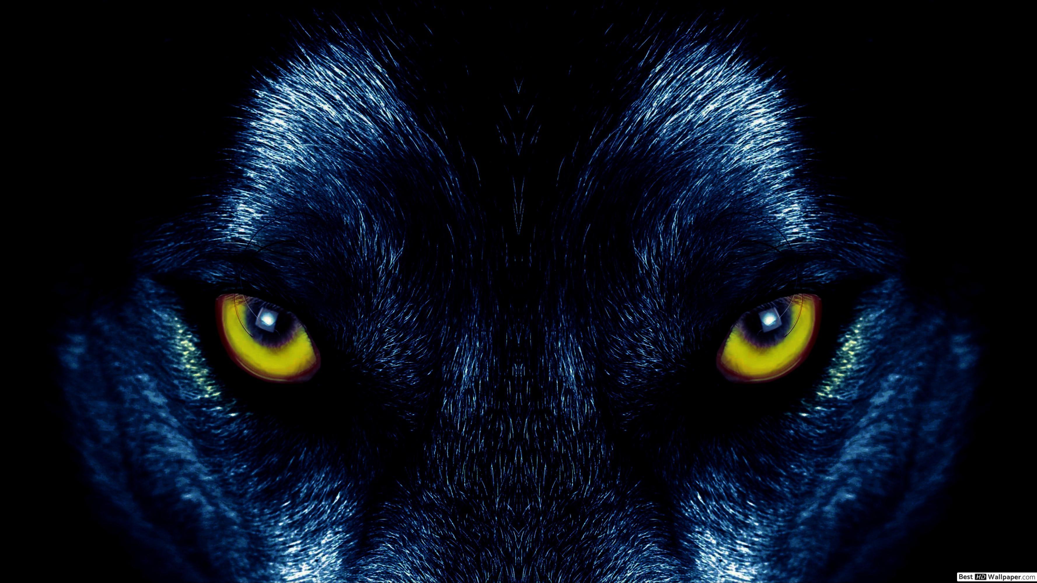 Wolf Red Eyes Wallpapers Top Free Wolf Red Eyes Backgrounds