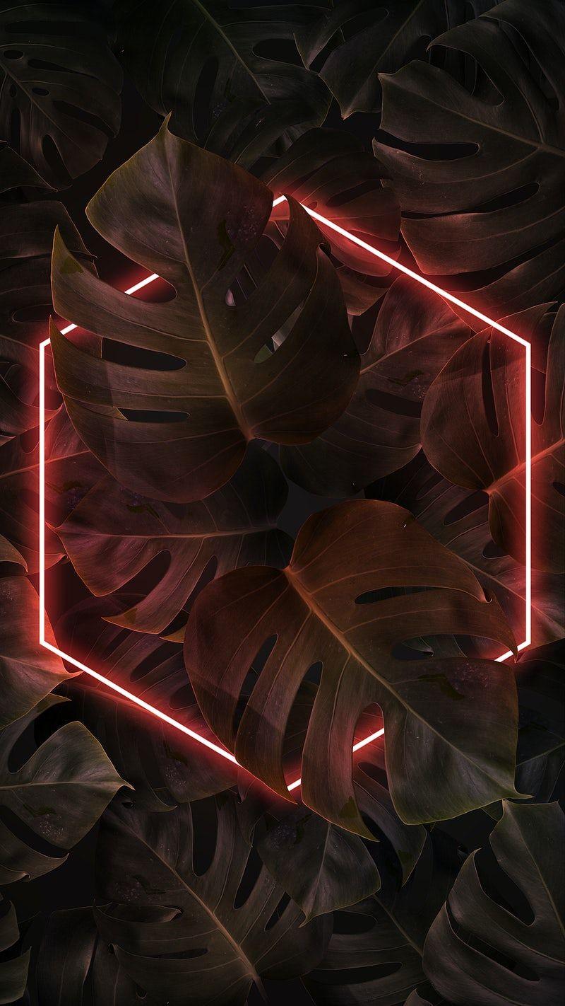 Neon Leaves Wallpapers Top Free Neon Leaves Backgrounds WallpaperAccess