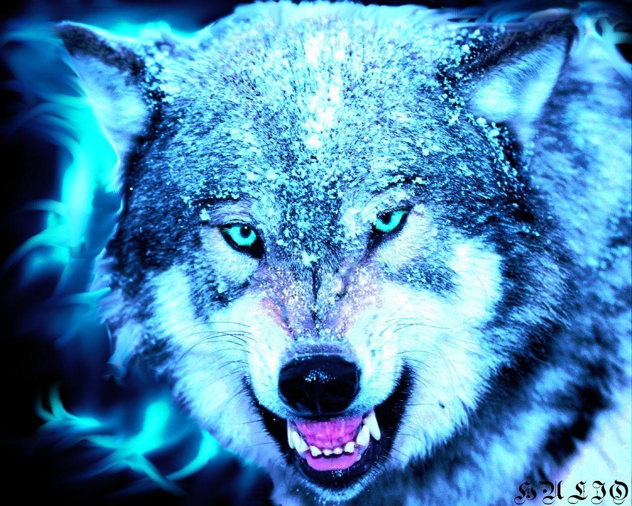 Cool Neon Wolf Wallpapers Top Free Cool Neon Wolf Backgrounds