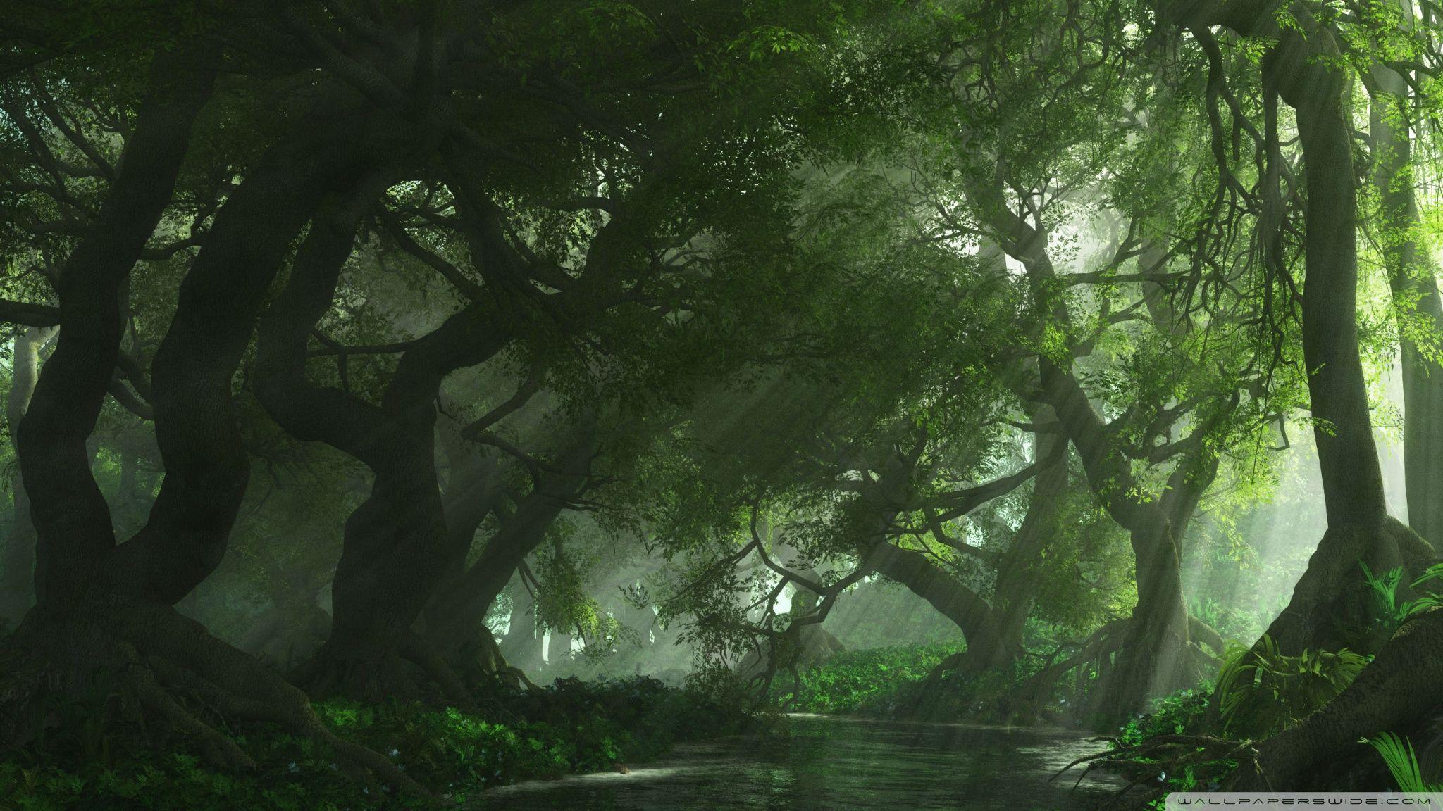 Anime Forest Wallpapers Top Free Anime Forest Backgrounds