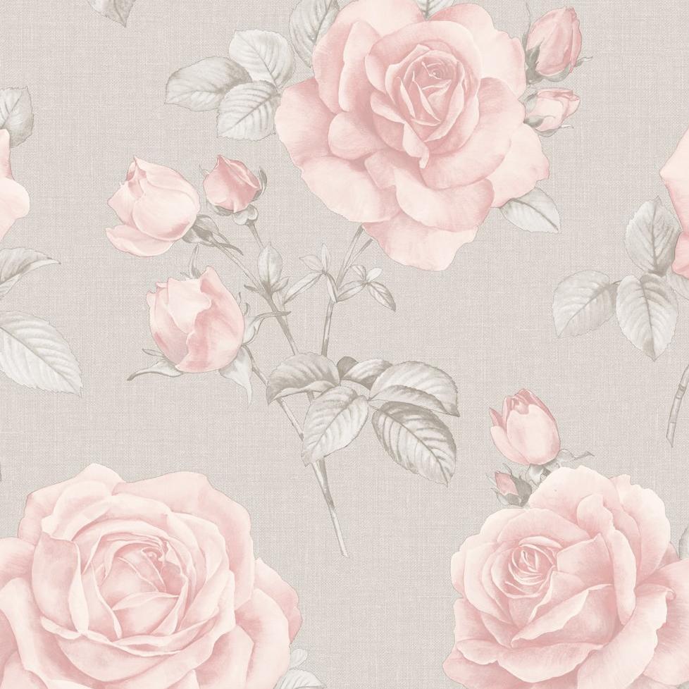 Light Grey and Pink Wallpapers Top Free Light Grey and Pink