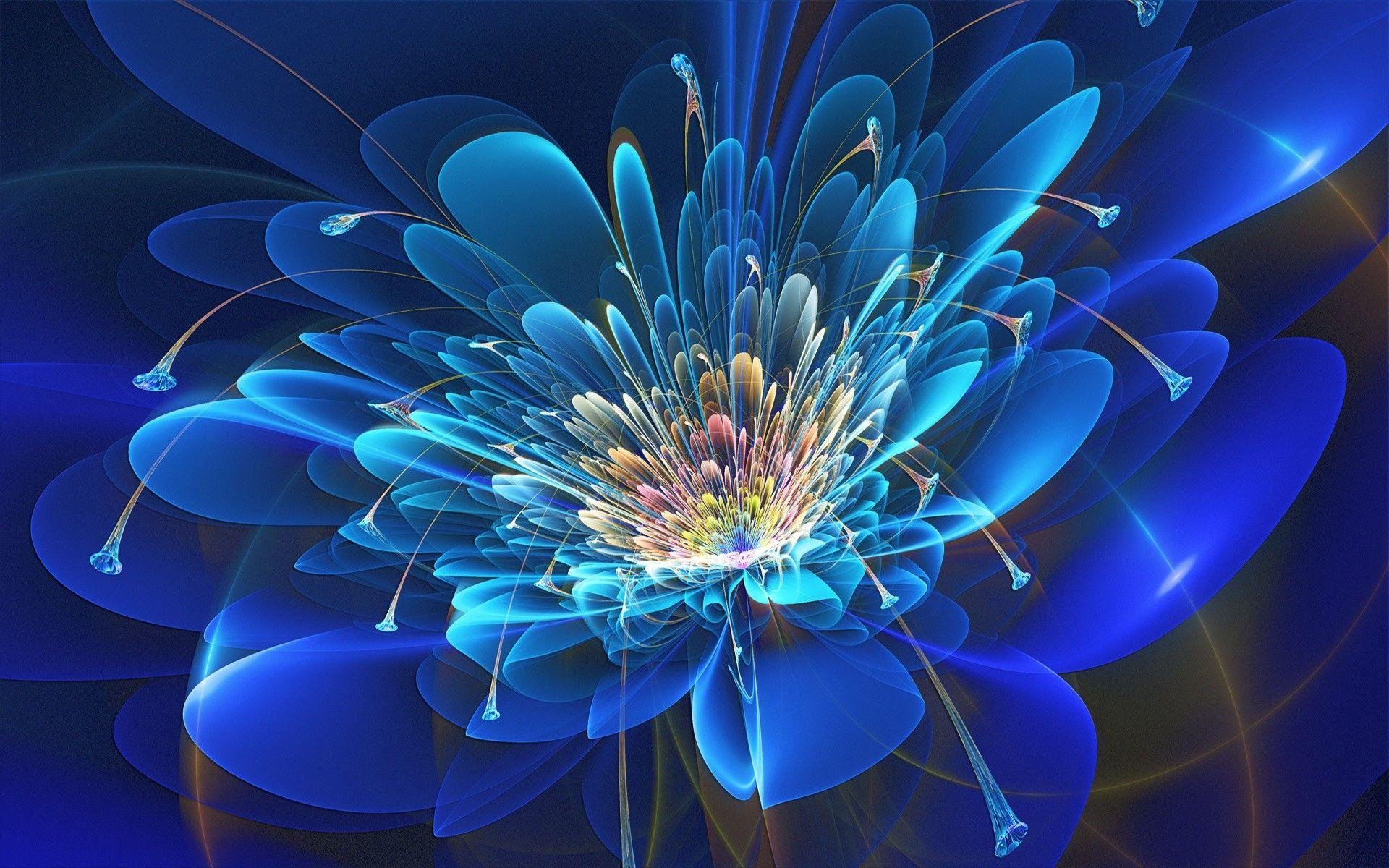 Fractal Flower Wallpapers Top Free Fractal Flower Backgrounds